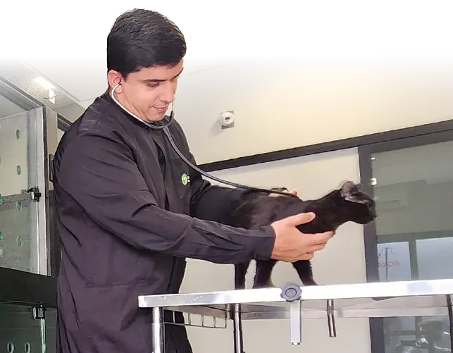 Veterinário Clínica veterinária 24 Planeta Animal